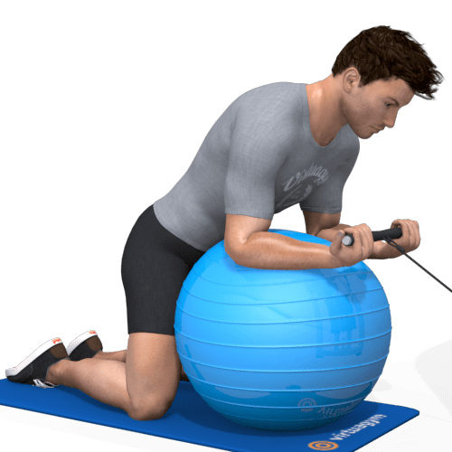 Exercise Ball Wrist Curl Video Exercise Guide