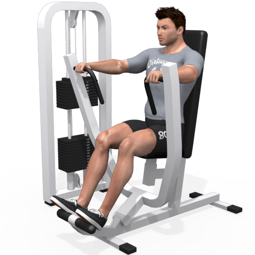 Seated Chest Press Video Exercise Guide