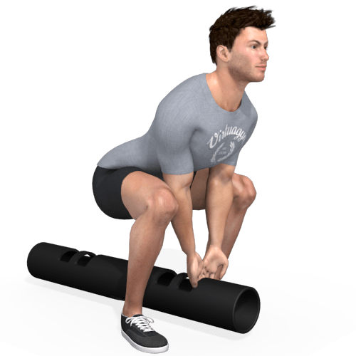 Vipr Squat To Elevator Video Exercise Guide