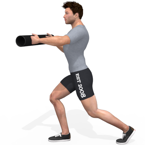 Vipr Chest Punch Video Exercise Guide