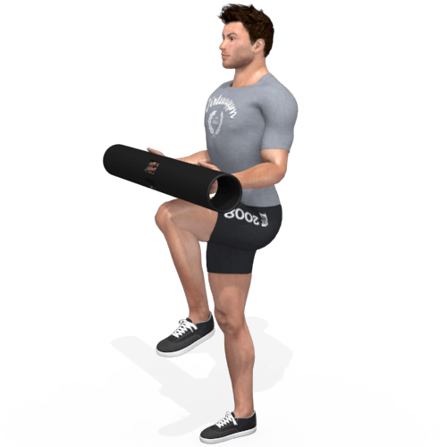 Vipr Reverse Lunge To Single Leg Balance Video Exercise Guide