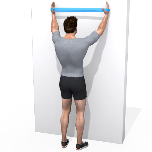 Elastics Hand Walk Wall Video Exercise Guide