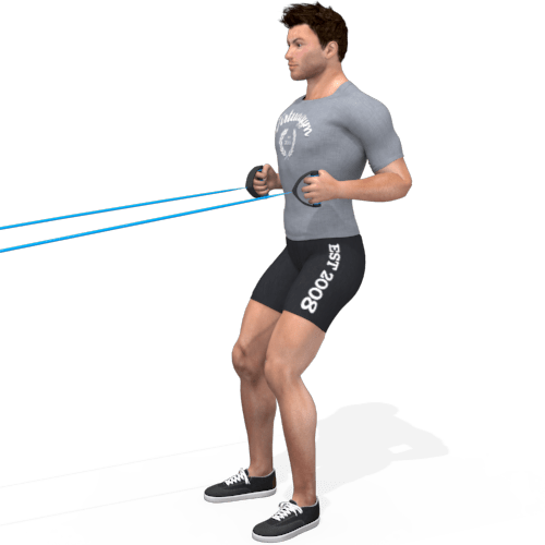 Pulley Squat Row Video Exercise Guide