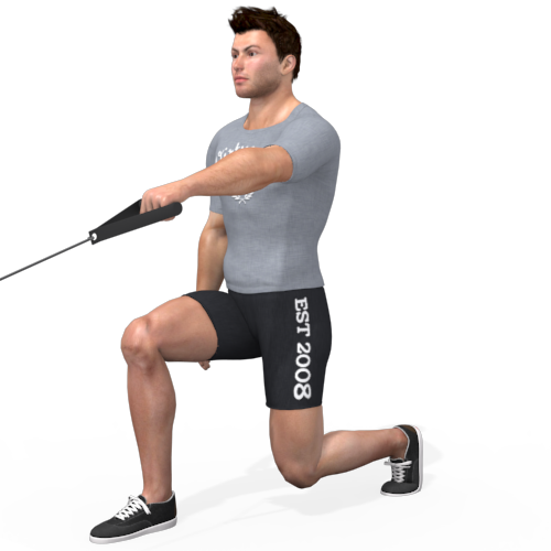 Pulley Split Squat Row Video Exercise Guide