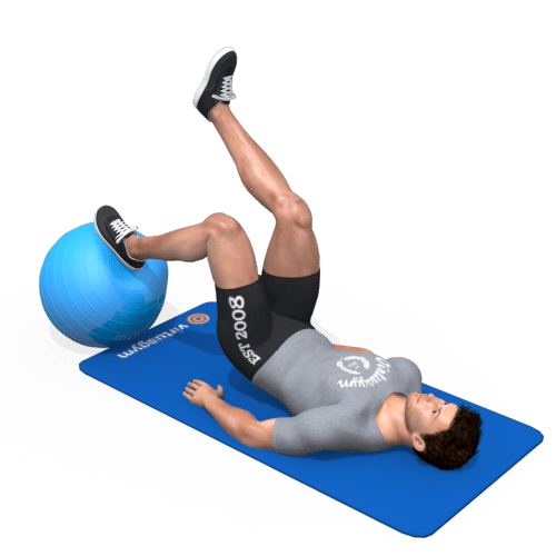 Exercise Ball Single Leg Hamstring Ball Roll Video Exercise Guide