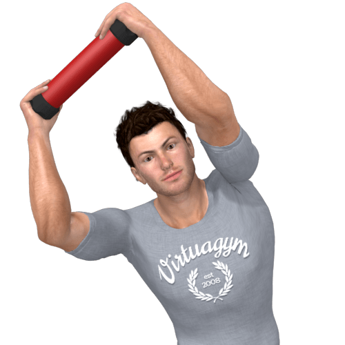 Xco Trainer Side Bend (alternating) Video Exercise Guide