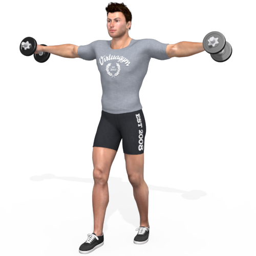 Dumbbells Vertical Full Can Combination Video Exercise Guide