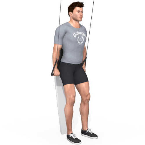 Pulley Pull Down Leaning Video Exercise Guide