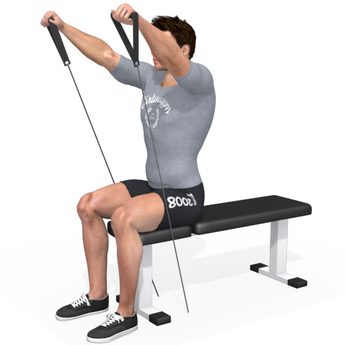 Pulley Front Raise Seated Video Exercise Guide