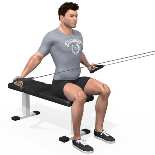 Pulley Reverse Fly Seated Medium To Low Video Exercise Guide