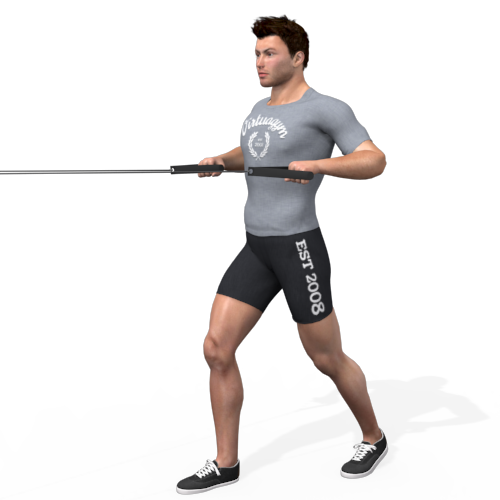 Pulley Row Wide Video Exercise Guide