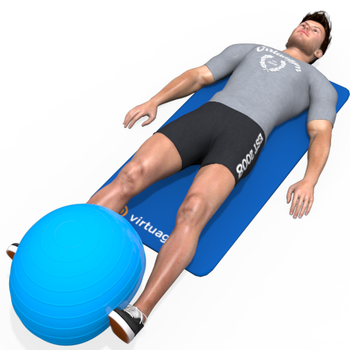 Exercise Ball Hip Adduction Legs Extended Lying Video Exercise Guide