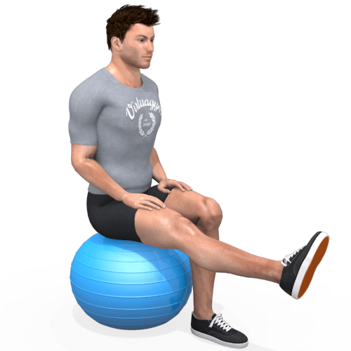 Exercise Ball Leg Extension Seated (alternating) Video Exercise Guide