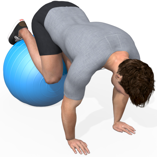 Exercise Ball Jackknife On Knees Video Exercise Guide