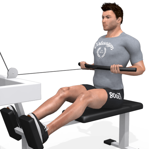 Row Reverse Grip Video Exercise Guide