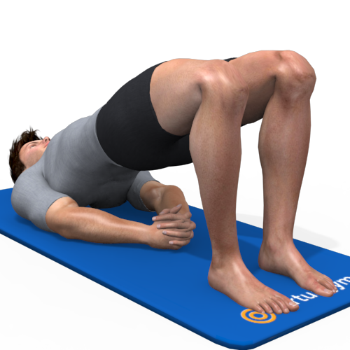 Bridge Pose Video Exercise Guide