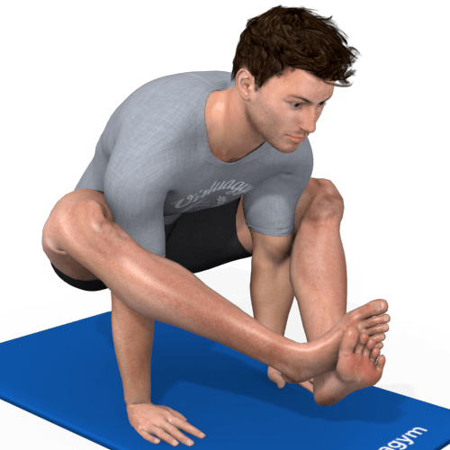 Shoulder Pressing Pose Video Exercise Guide