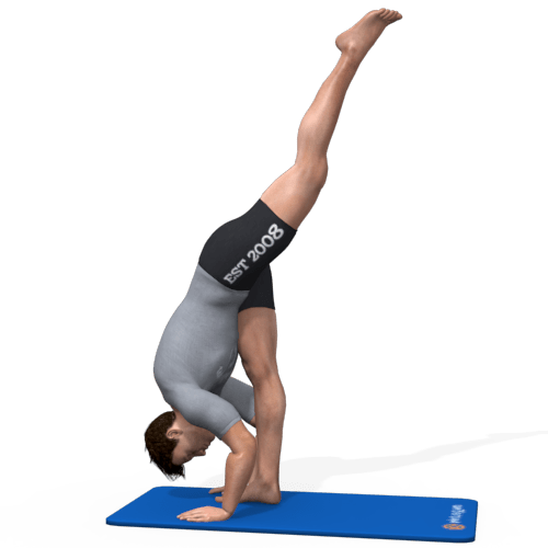 Standing Split Video Exercise Guide