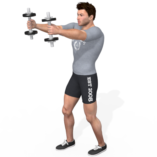 Dumbbells Front Raise Two Sides Video Exercise Guide