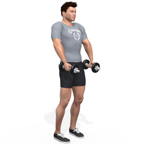 Dumbbells Hang Clean Video Exercise Guide