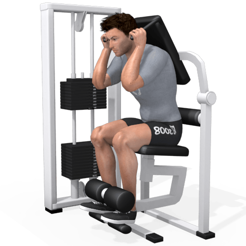 Total Abdominal Machine Video Exercise Guide