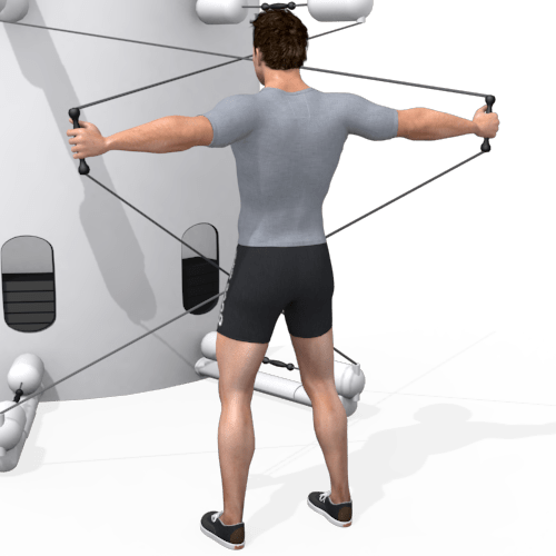 Kinesis Reverse Fly Video Exercise Guide