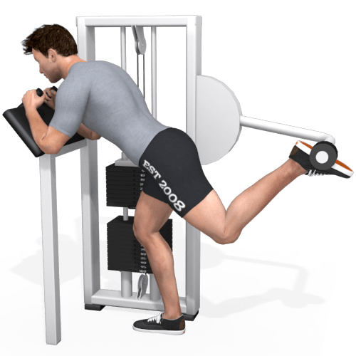Glute Kickback, Switching Machine Video Exercise Guide