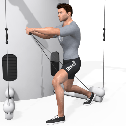 Kinesis Wood Chop Low High Video Exercise Guide