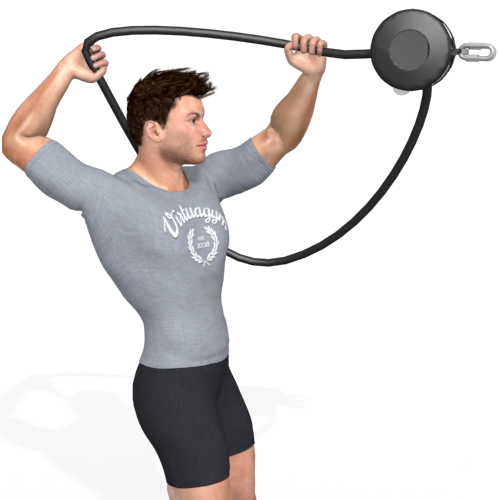 Pulley Overhead Pull Video Exercise Guide