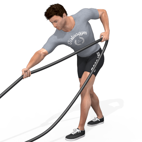 Pulley Low Pull Video Exercise Guide