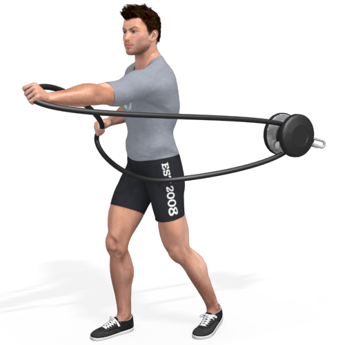 Pulley Chest Press Video Exercise Guide