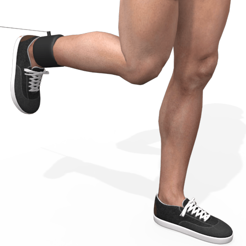 Pulley Leg Extension Standing Video Exercise Guide