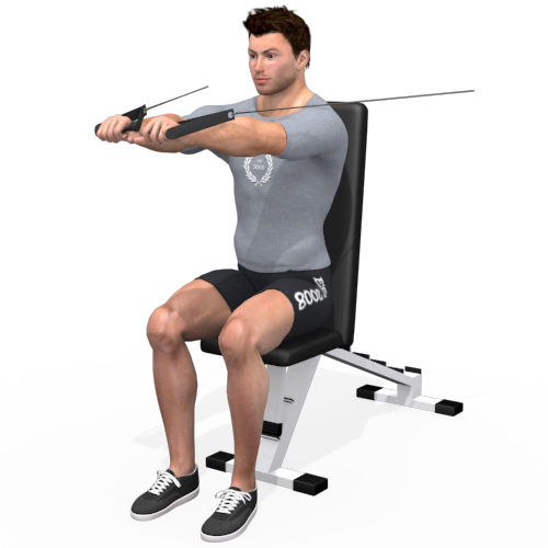 Pulley Chest Press Sitting Video Exercise Guide