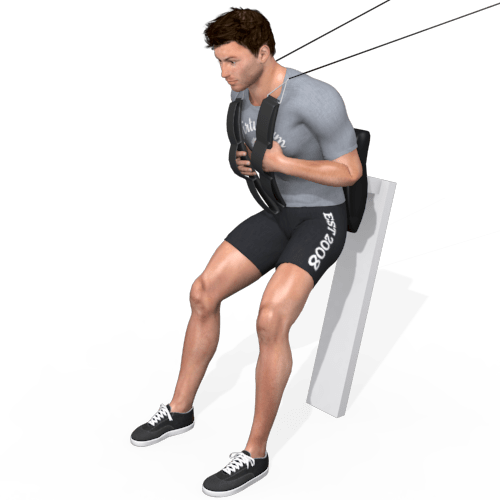 Pulley Standing Abdominal Crunch Video Exercise Guide