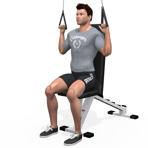 Pulley Lat Pull Down Seated Video Exercise Guide
