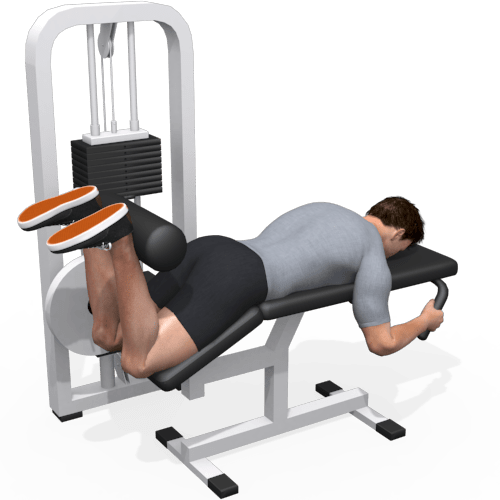 Lying Leg Curl Machine Video Exercise Guide