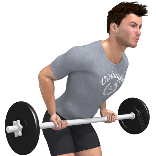 Barbell Bent Over Row Reverse Grip Video Exercise Guide 