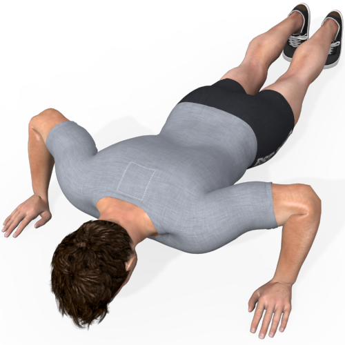 Push Up Rotation Video Exercise Guide