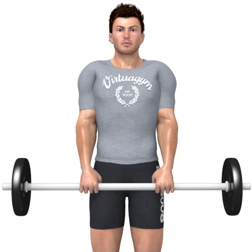 Barbell Shrugs Standing Video Exercise Guide