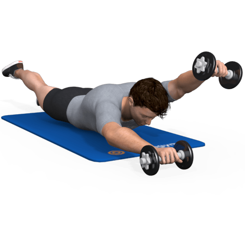 Dumbbells Superman Alternating Video Exercise Guide Dumbbells Superman Alternating Video Exercise Guide
