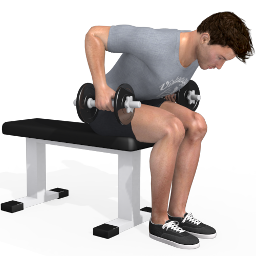 Dumbbells Bent Over Row Seated Video Exercise Guide 