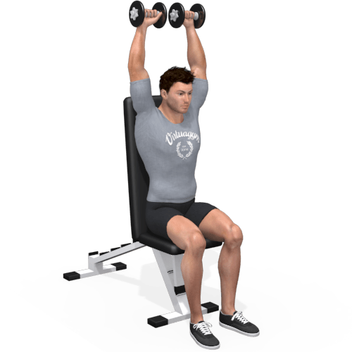 Dumbbells Arnold Press Video Exercise Guide
