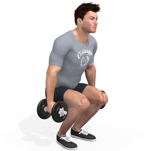 Dumbbells Squat Video Exercise Guide