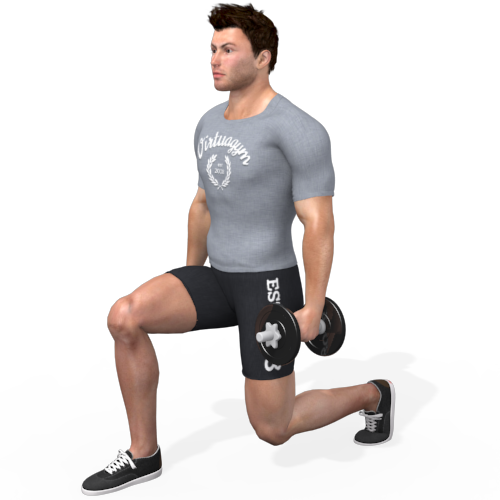 Dumbbells Split Squat Video Exercise Guide