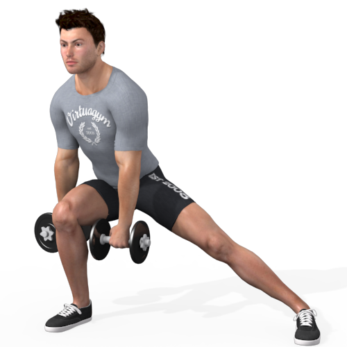 Dumbbells Lunge Lateral Video Exercise Guide