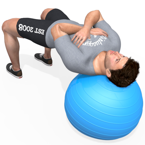 Exercise Ball Bridge Video Exercise Guide