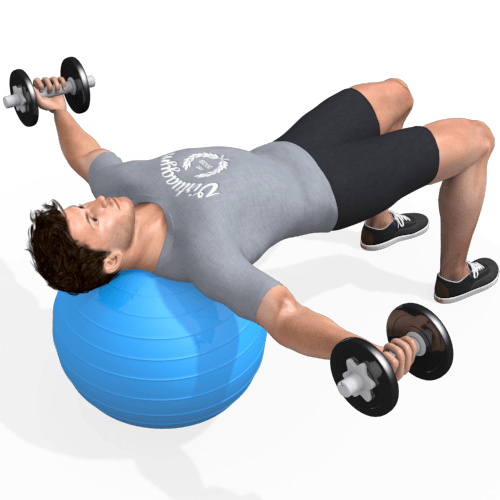 Exercise Ball Chest Fly Video Exercise Guide