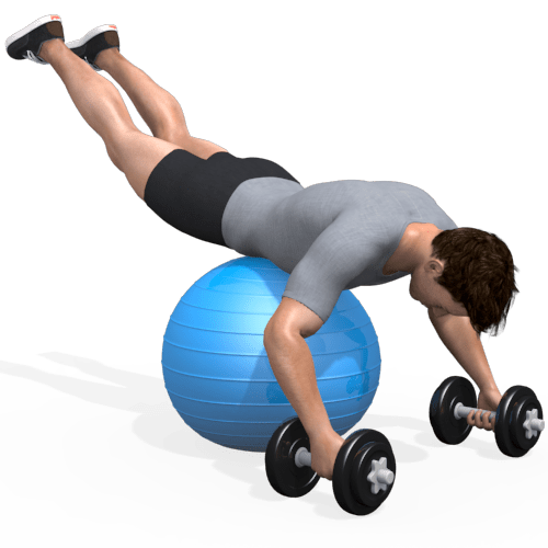 Exercise Ball Glute Raise Video Exercise Guide