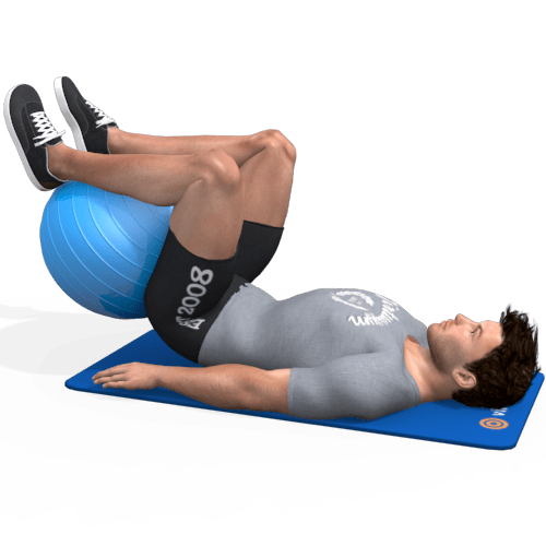 Exercise Ball Reverse Crunch Video Exercise Guide