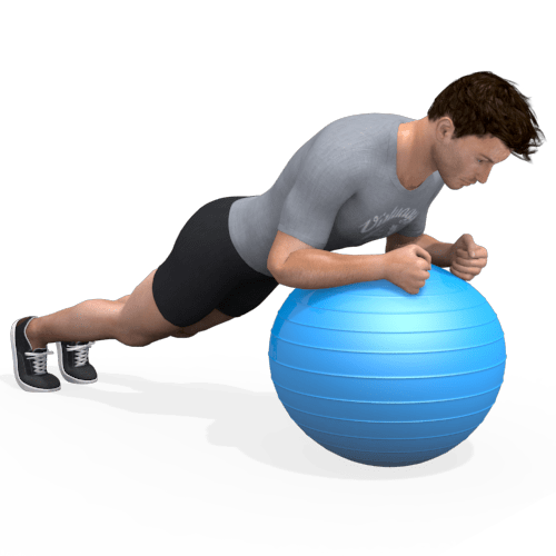 Exercise Ball Plank Video Exercise Guide